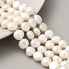 Natural Cultured Freshwater Pearl Beads Strands PEAR-A006-09I-1