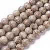 Natural Fossil Coral Beads Strands G-F563-02-8mm-1