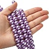 Eco-Friendly Dyed Glass Pearl Round Beads Strands HY-A002-12mm-RB056-4