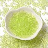 Transparent Colours Glass Seed Beads SEED-P007-02A-01-2