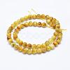 Natural Gold Tiger Eye Beads Strands G-K203-84-6mm-2