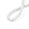 Natural Trochid Shell/Trochus Shell Beads Strands SSHEL-N034-121-B01-4