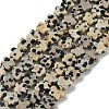 Natural Dalmatian Jasper Beads Strands G-B138-C08-01-1