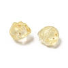 Transparent Glass Beads GLAA-D304-02I-2