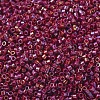 MIYUKI Delica Beads X-SEED-J020-DB2275-3