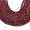 Imported Natural Garnet Beads Strands G-A129-2mm-05-4