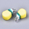 Handmade Polymer Clay Charms CLAY-T016-60-3