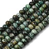 Natural African Turquoise(Jasper) Beads Strands G-A280-A23-01-2