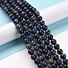 Natural Sodalite Beads Strands G-D481-12B-3