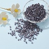 6/0 Glass Seed Beads SEED-YW0001-25D-5
