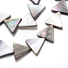 Natural Black Lip Shell Bead Strands SHEL-R018-03-1