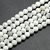 Frosted Howlite Round Bead Strands G-M064-14mm-12-1