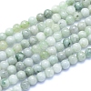 Natural Myanmar Jade/Burmese Jade Beads Strands G-I279-C02-4mm-1