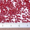 MIYUKI Delica Beads X-SEED-J020-DB0214-4