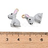 Alloy Enamel Pendants AL-CBAC5EF-03G-02-3