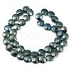 Electroplated Natural Lava Rock Beads Strands G-K388-01H-1