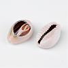 Natural Cowrie Shell Beads X-BSHE-S053-2