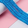 Natural Magnesite Beads Strands TURQ-Z002-02C-4