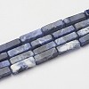 Natural Sodalite Beads Strands X-G-G968-D02-1