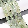 Natural Prehnite Beads Strands G-S345-10mm-28-2