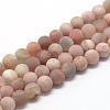 Natural Sunstone Beads Strands G-R446-8mm-36-1