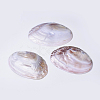 Natural Freshwater Pearl Shell Decoration SHEL-K002-01A-2
