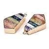 Rainbow Color Natural Imperial Jasper Pendants G-S359-329-3