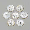 Freshwater Shell Pendants X-SHEL-Q010-P-2