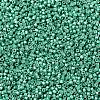 MIYUKI Delica Beads X-SEED-J020-DB1182-4