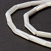 Natural Trochid Shell/Trochus Shell Beads SSHEL-O001-26B-3