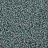TOHO 11/0 Round Beads X-SEED-TR11-1851-2