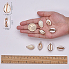 Electroplate Cowrie Shell Links SSHEL-SC0001-01G-6