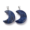 Natural Lapis Lazuli Pendants G-Z022-02N-2