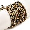 Natural Dalmatian Jasper Beads Strands G-Z068-B07-01-1