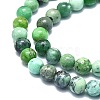 Natural Variscite Beads Strands G-F715-109A-3
