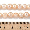 Natural Cultured Freshwater Pearl Beads Strands PEAR-A006-08B-5