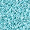 8/0 Glass Seed Beads SEED-US0003-3mm-154-2