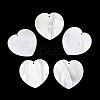 Natural Freshwater Shell Big Pendants SHEL-T020-51-1