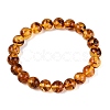 Natural Amber Beaded Stretch Bracelets BJEW-N041-08B-1