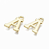 Alloy Charms LS-PALLOY-Q441-025A-NR-3