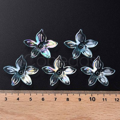 Transparent Acrylic Beads MACR-S373-102-C05-1