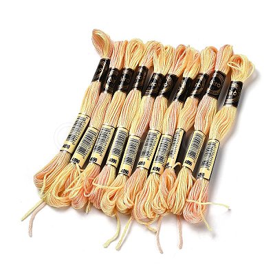 10 Skeins 6-Ply Polyester Embroidery Floss OCOR-K006-A68-1