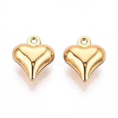304 Stainless Steel Charms STAS-N118-12G-1