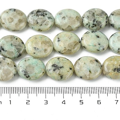 Natural Sesame Jasper Beads Strands G-K365-B16-03-1