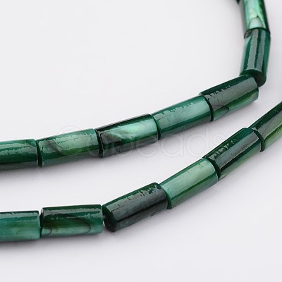 Natural Shell Bead Strands BSHE-P016-13-1