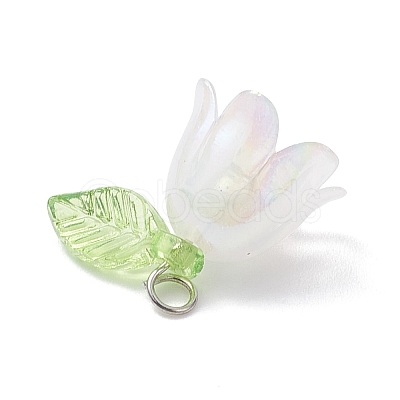 5Pcs Transparent Acrylic Pendants PALLOY-JF04703-02-1