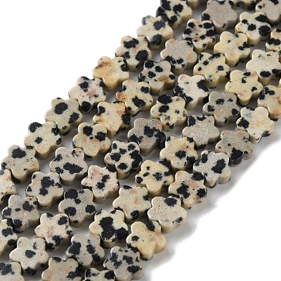 Natural Dalmatian Jasper Beads Strands G-B138-C08-01-1