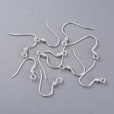 304 Stainless Steel Earring Hooks STAS-K210-26S-1