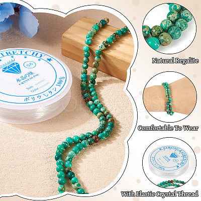 DIY Natural Regalite/Imperial Jasper/Sea Sediment Jasper Beads Bracelets Making KIts DIY-TA0002-69C-1