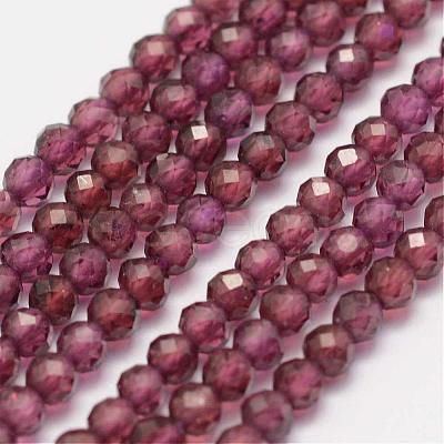 Natural Garnet Beads Strands G-K182-2mm-10-1